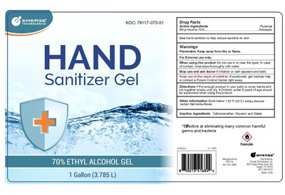 Hand Sanitizer (Emerge 1g 2009 70 Percent)